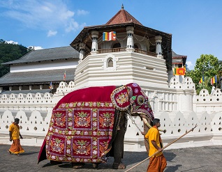 Sri Lankan Cultural Trail