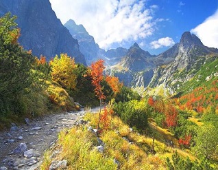 Kashmir Panorama
