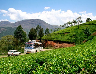 Munnar Kerala Tour